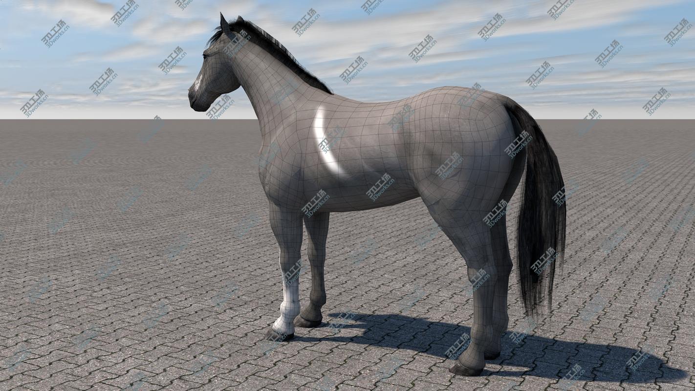 images/goods_img/202105072/3D Horse model/4.jpg